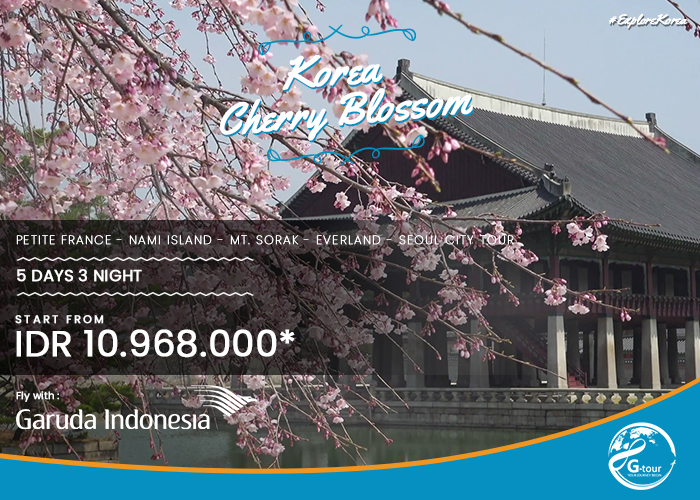 5 Days 3 Night – Korea Cherry Blossom